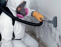 Best Comprehensive Air Testing for Mold Contaminants  in Missouri Valley, IA